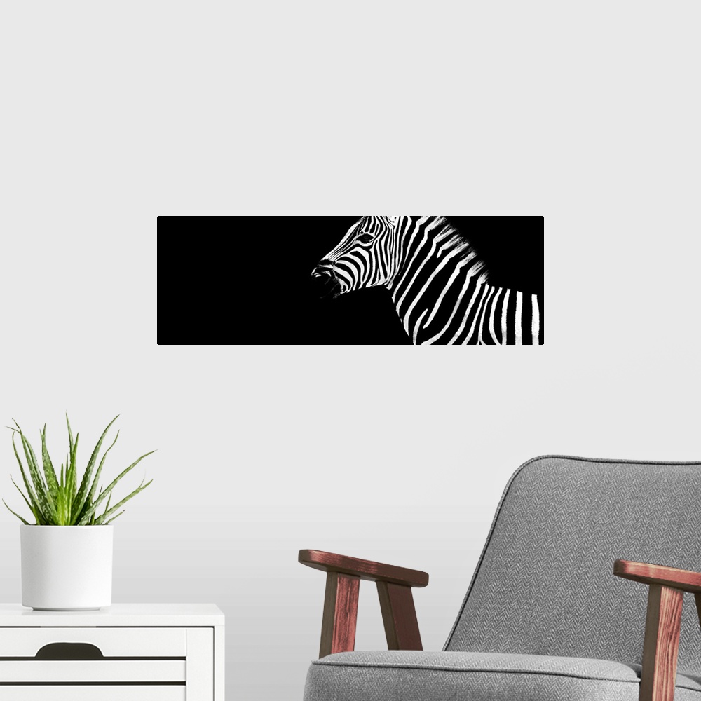 A modern room featuring The purest in the world of wild animals, Safari Profile by Philippe Hugonnard pays homage to the ...