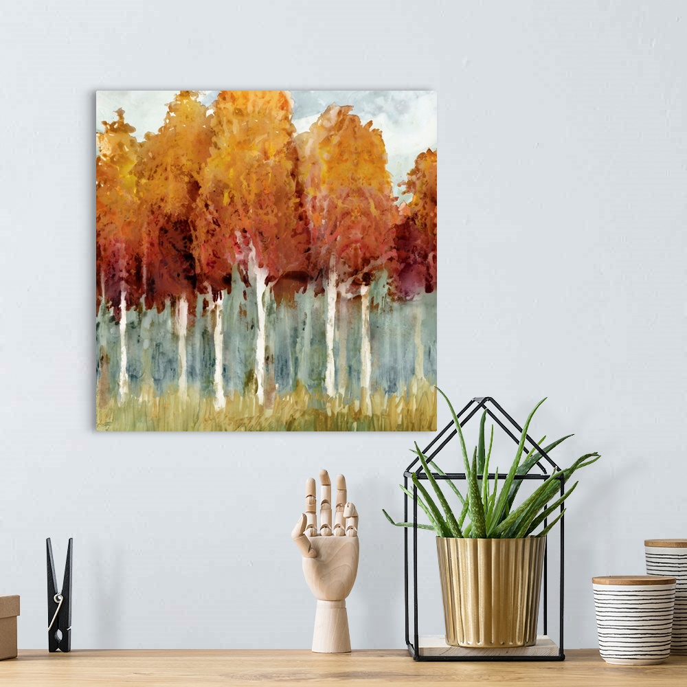 A bohemian room featuring Forest of tall birch trees in autumn colors.