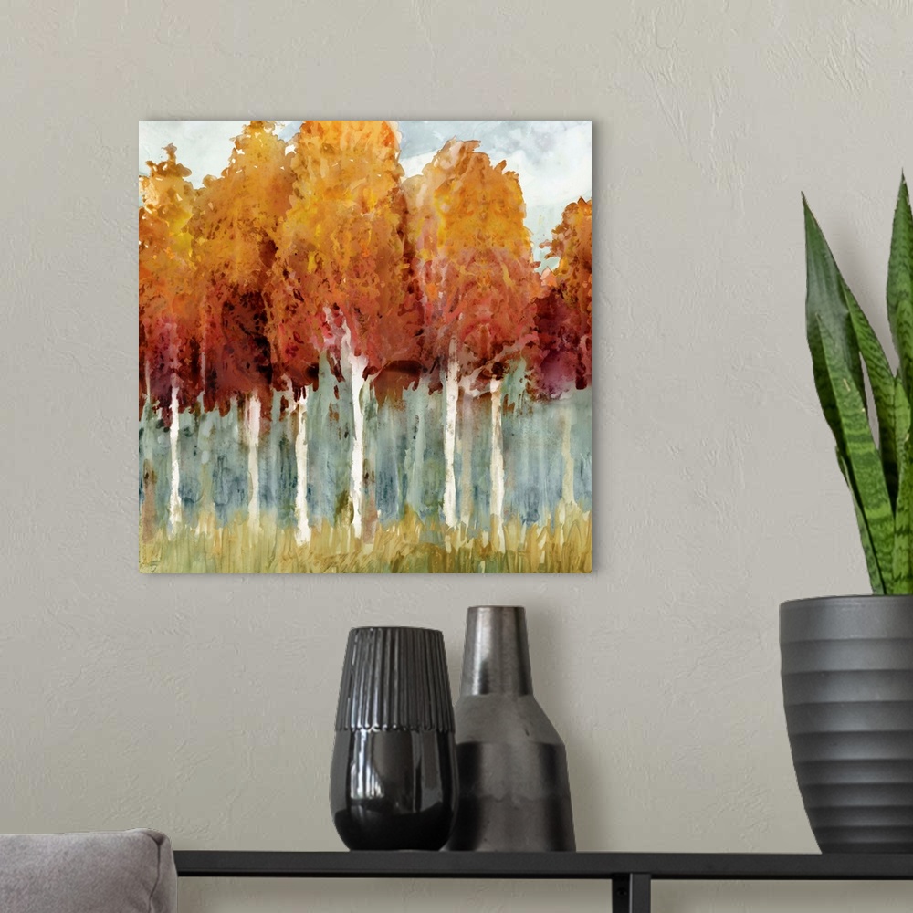 A modern room featuring Forest of tall birch trees in autumn colors.