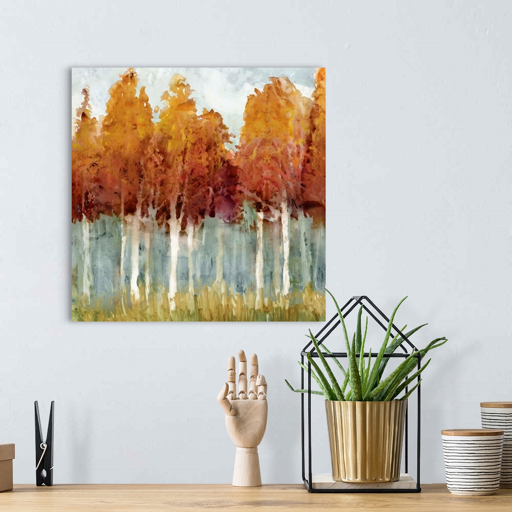 A bohemian room featuring Forest of tall birch trees in autumn colors.