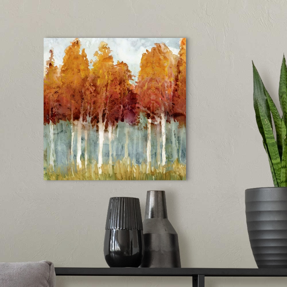 A modern room featuring Forest of tall birch trees in autumn colors.