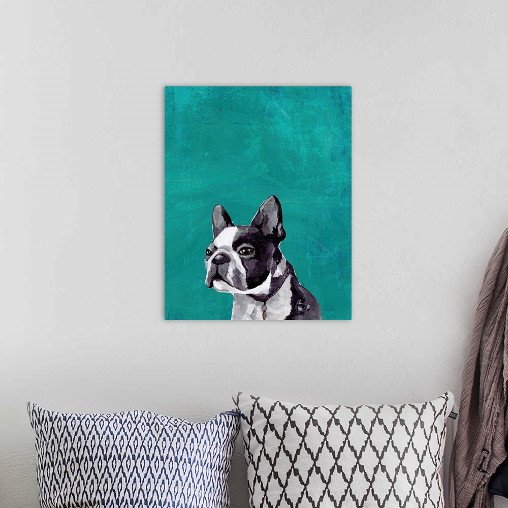 A bohemian room featuring Frenchie Puppy