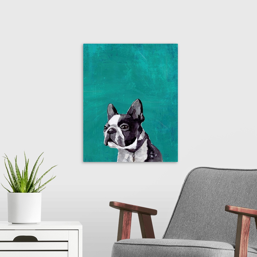 A modern room featuring Frenchie Puppy
