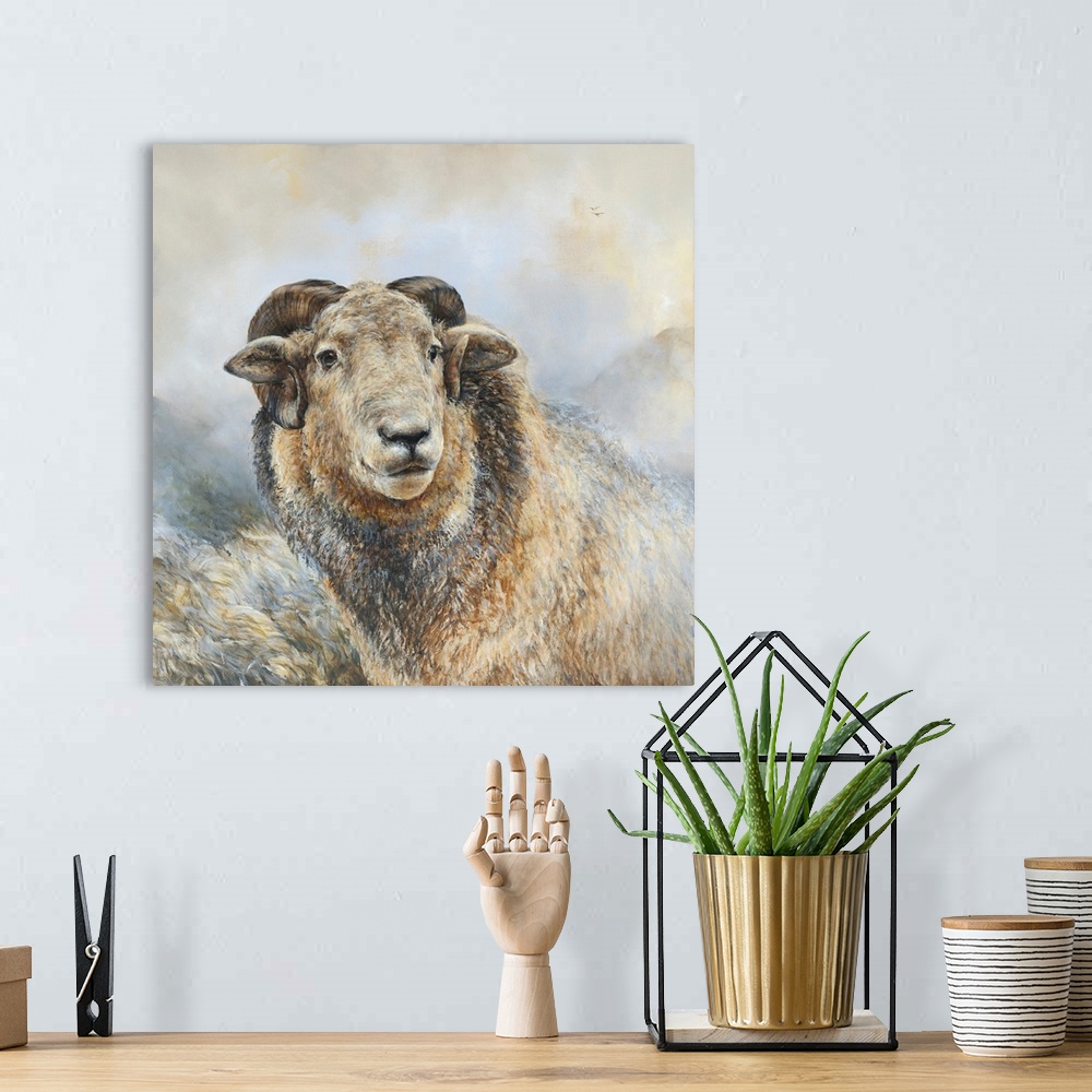 A bohemian room featuring Herdwick Sheep