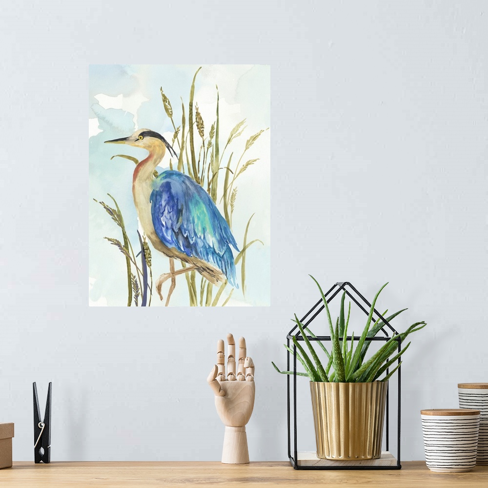 A bohemian room featuring Little Blue Heron