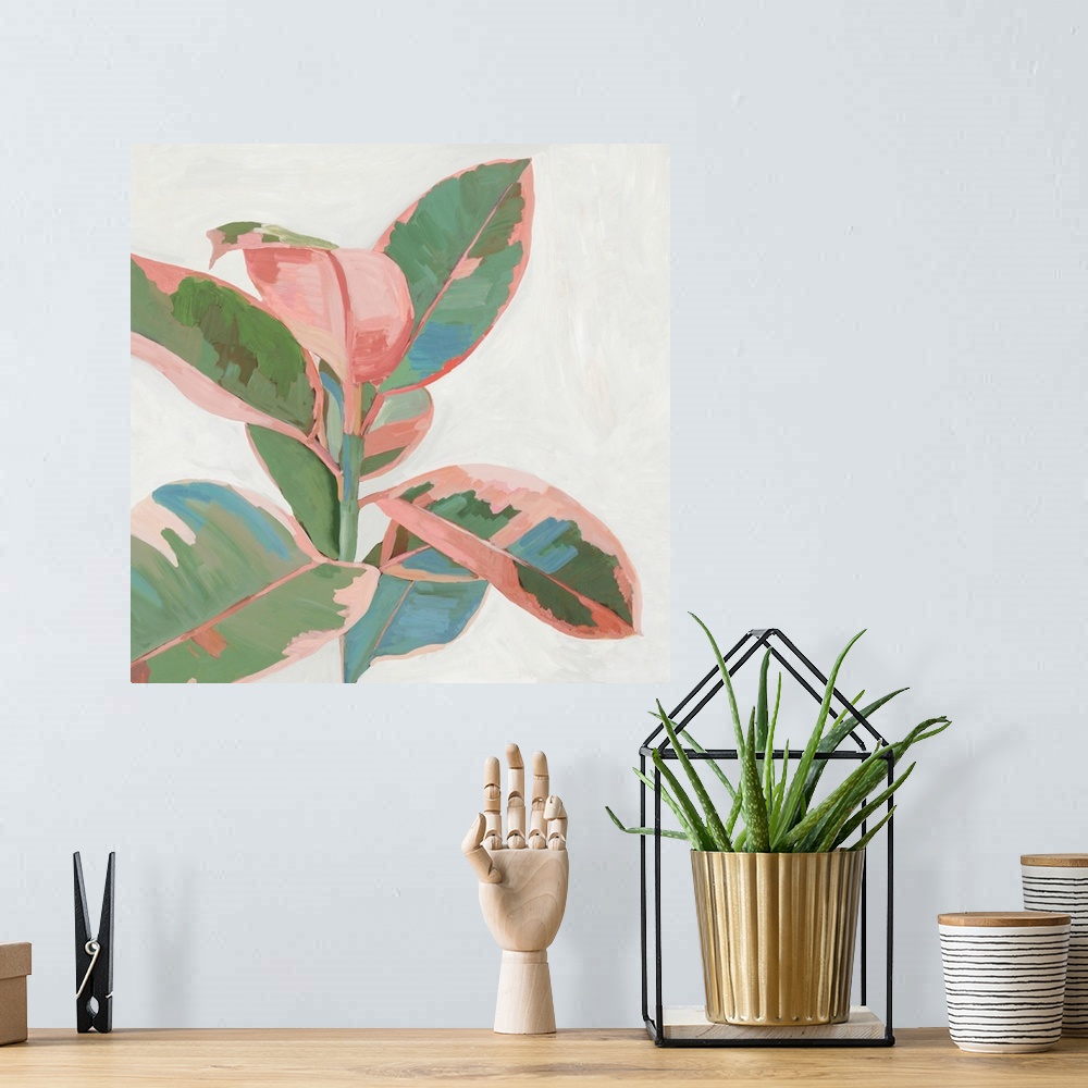 A bohemian room featuring Pink Ficus I