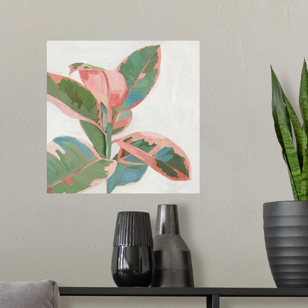 A modern room featuring Pink Ficus I