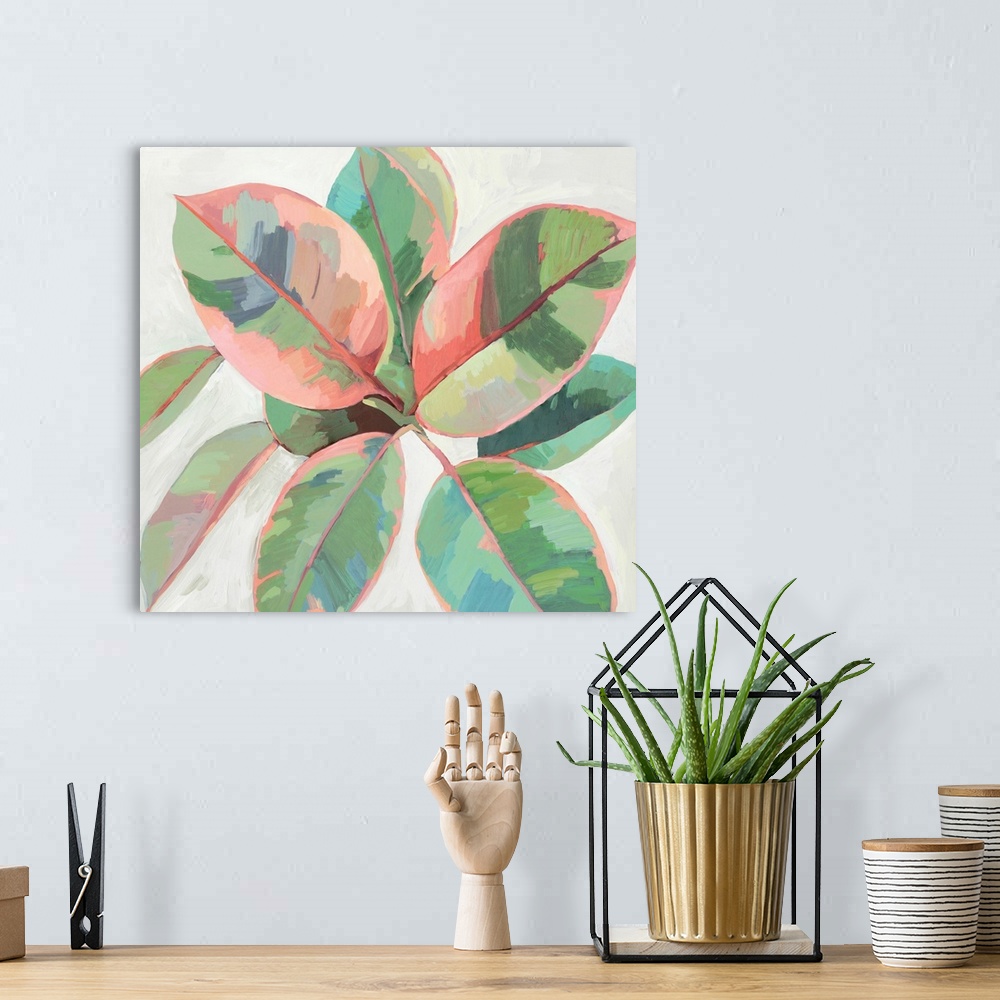 A bohemian room featuring Pink Ficus II