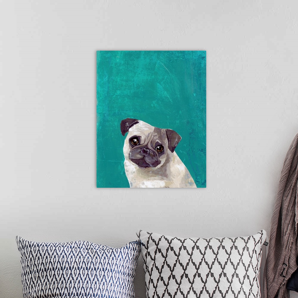 A bohemian room featuring Pug Puppy
