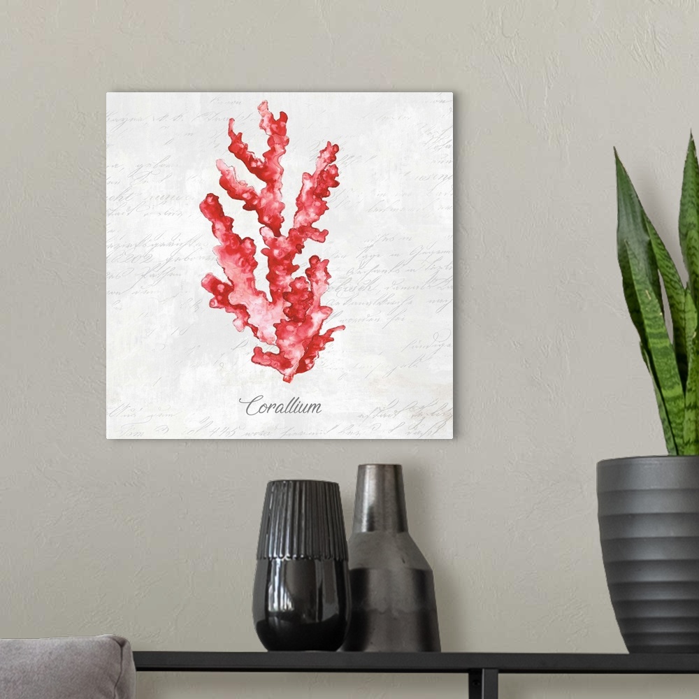 A modern room featuring Red Sea Coral