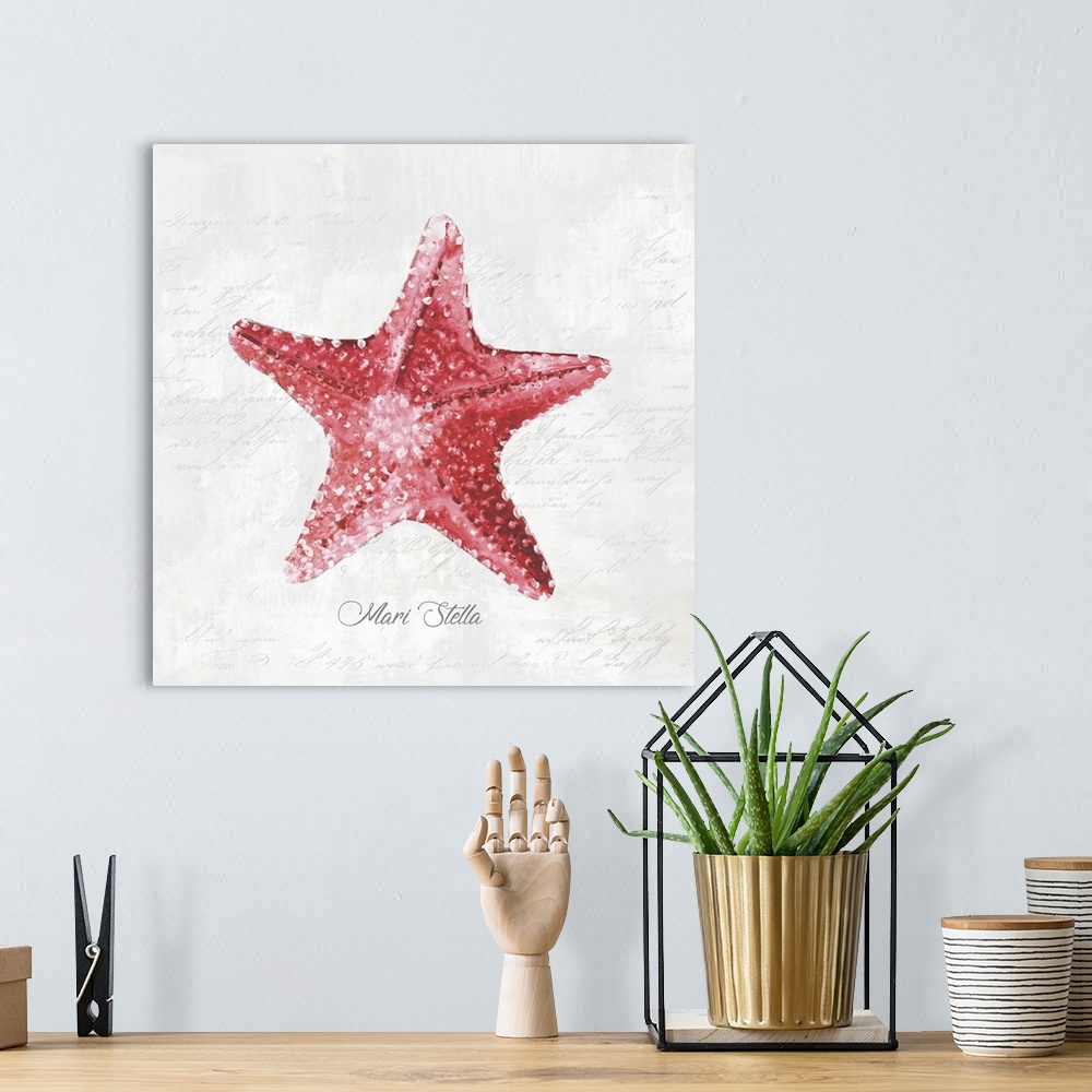 A bohemian room featuring Red Starfish