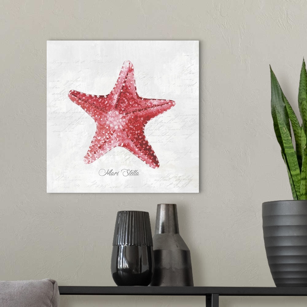 A modern room featuring Red Starfish