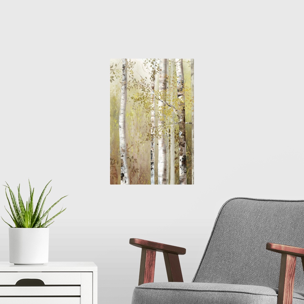 A modern room featuring Several slender white birch trees in a forest in neutral tones.