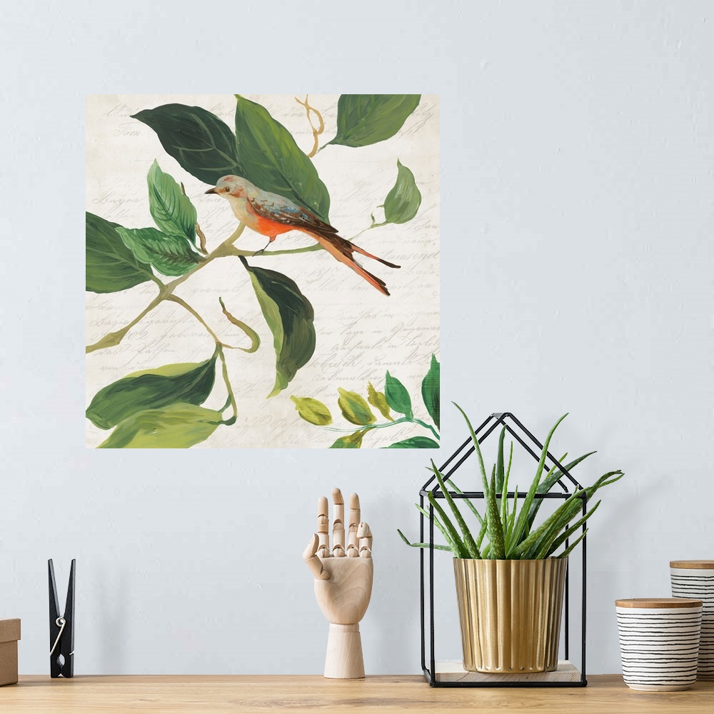 A bohemian room featuring A small, brightly colored bird perched on a branch among green leaves.