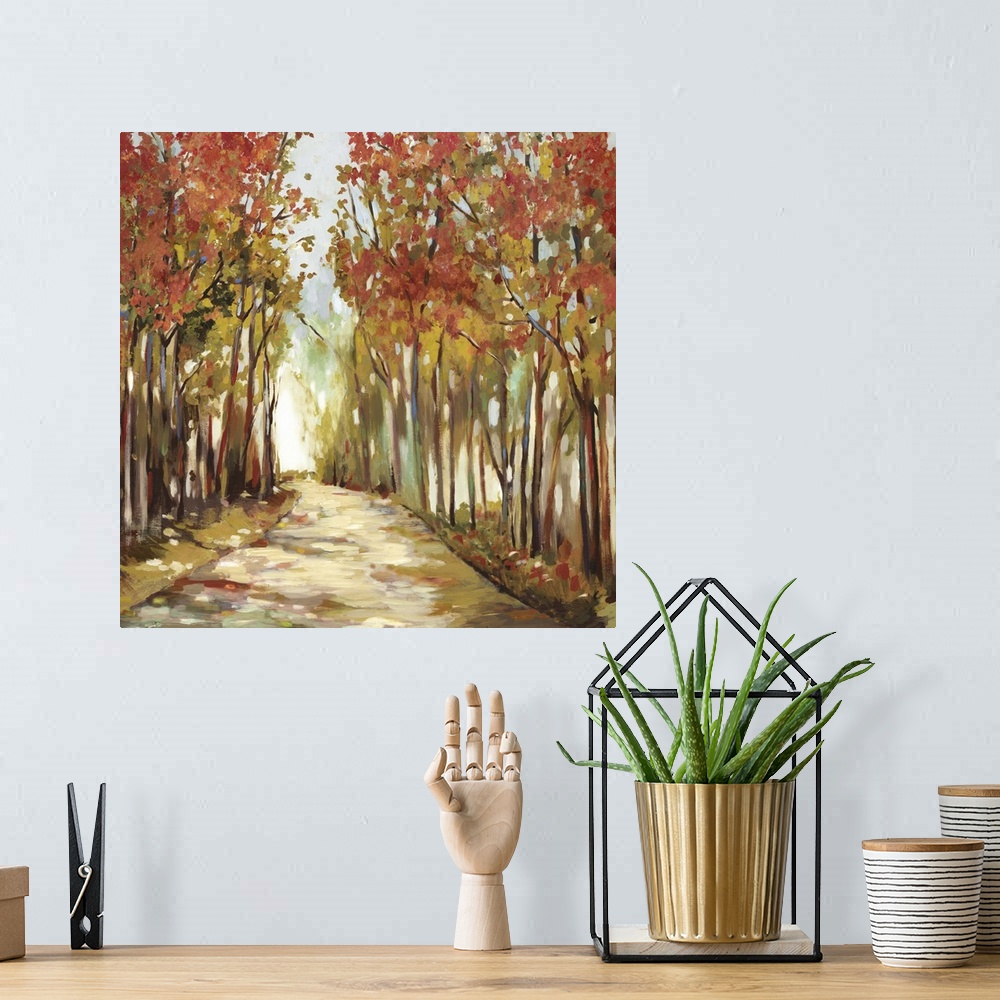 A bohemian room featuring A walkway through a forest of trees in the fall.