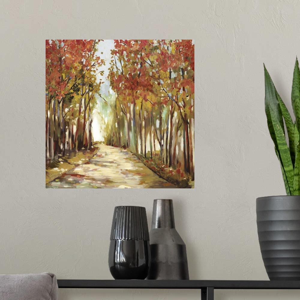 A modern room featuring A walkway through a forest of trees in the fall.