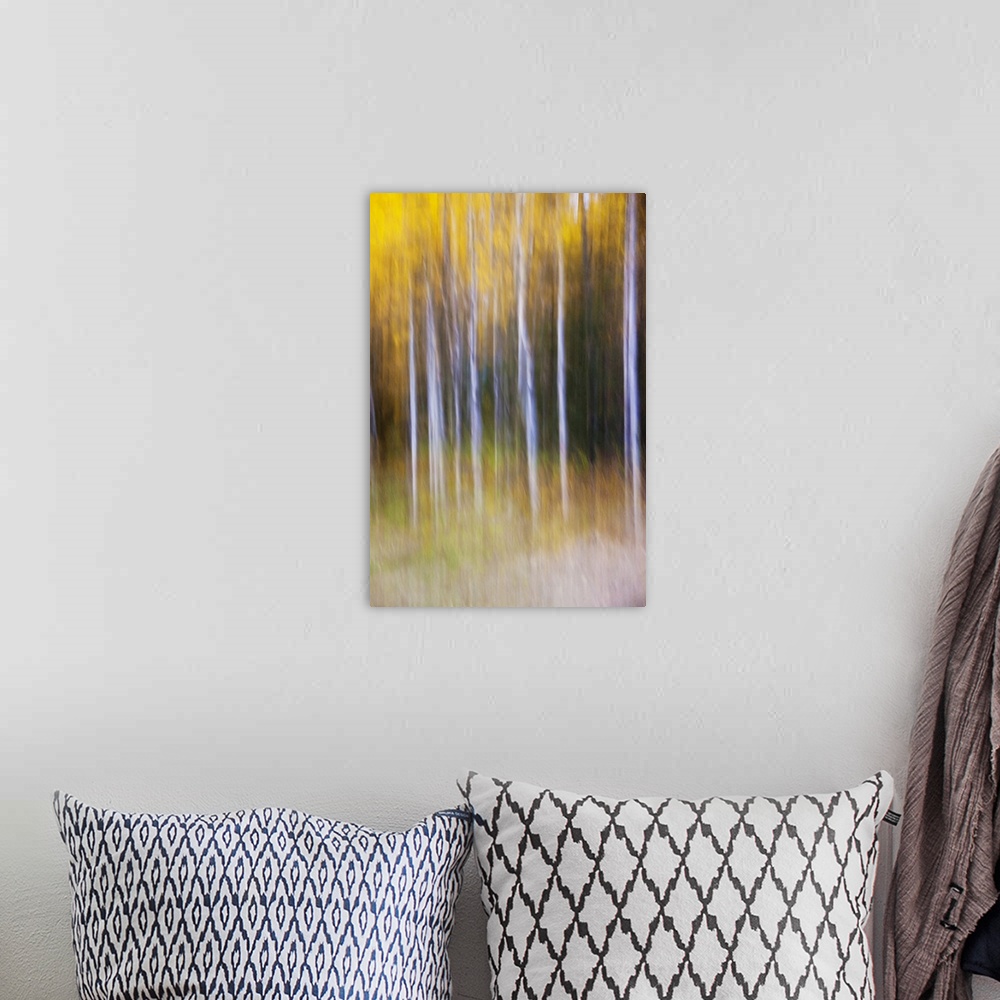 A bohemian room featuring Abstract photo of autumn trees in the forest, Alberta, Canada.