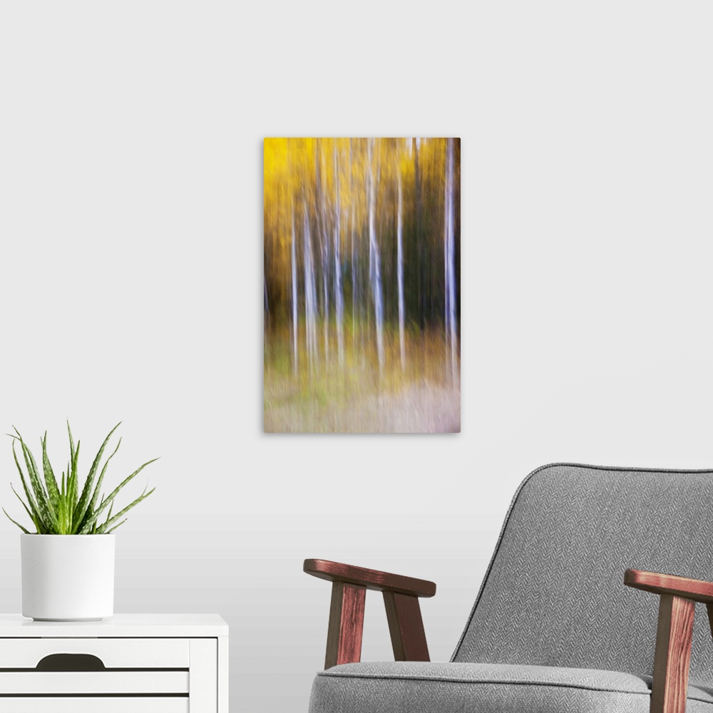 A modern room featuring Abstract photo of autumn trees in the forest, Alberta, Canada.