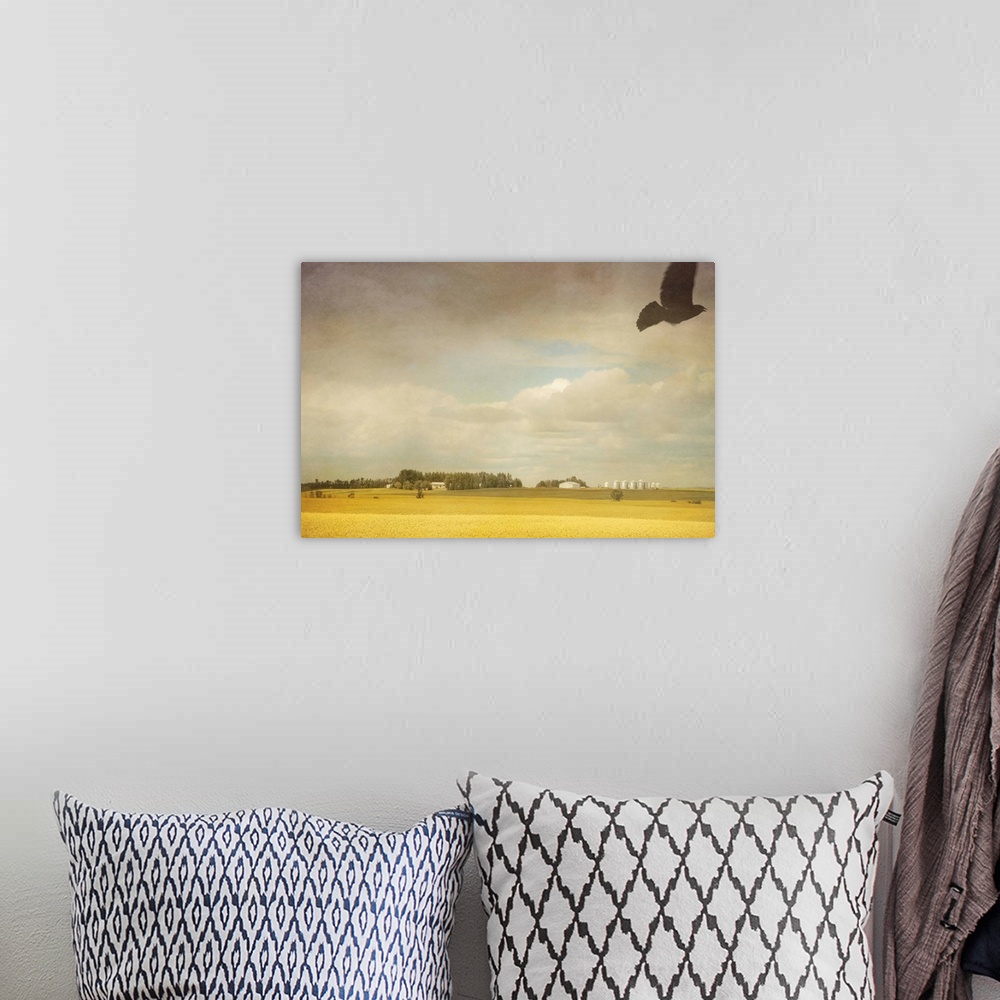 A bohemian room featuring A crow flies over a canola field.