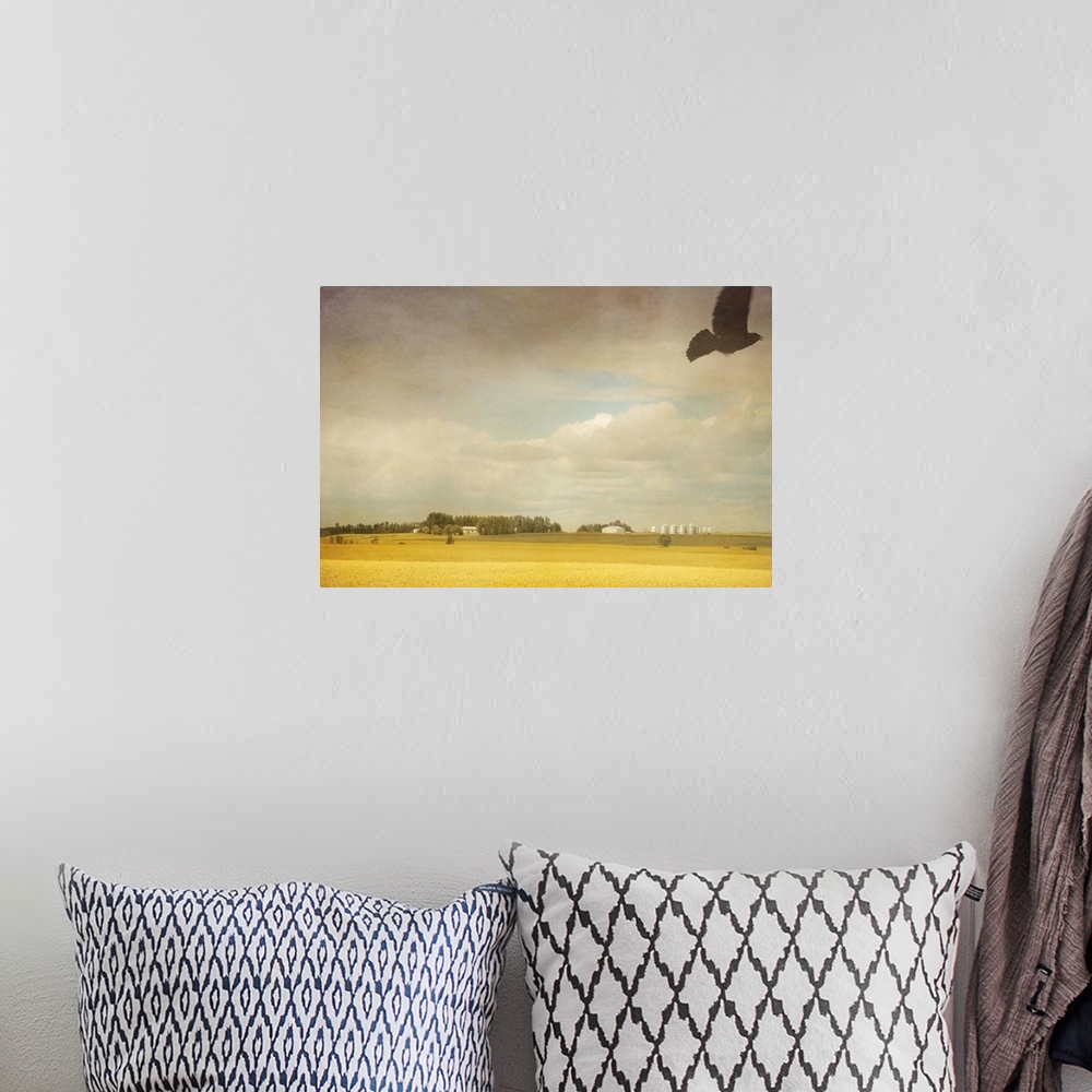 A bohemian room featuring A crow flies over a canola field.
