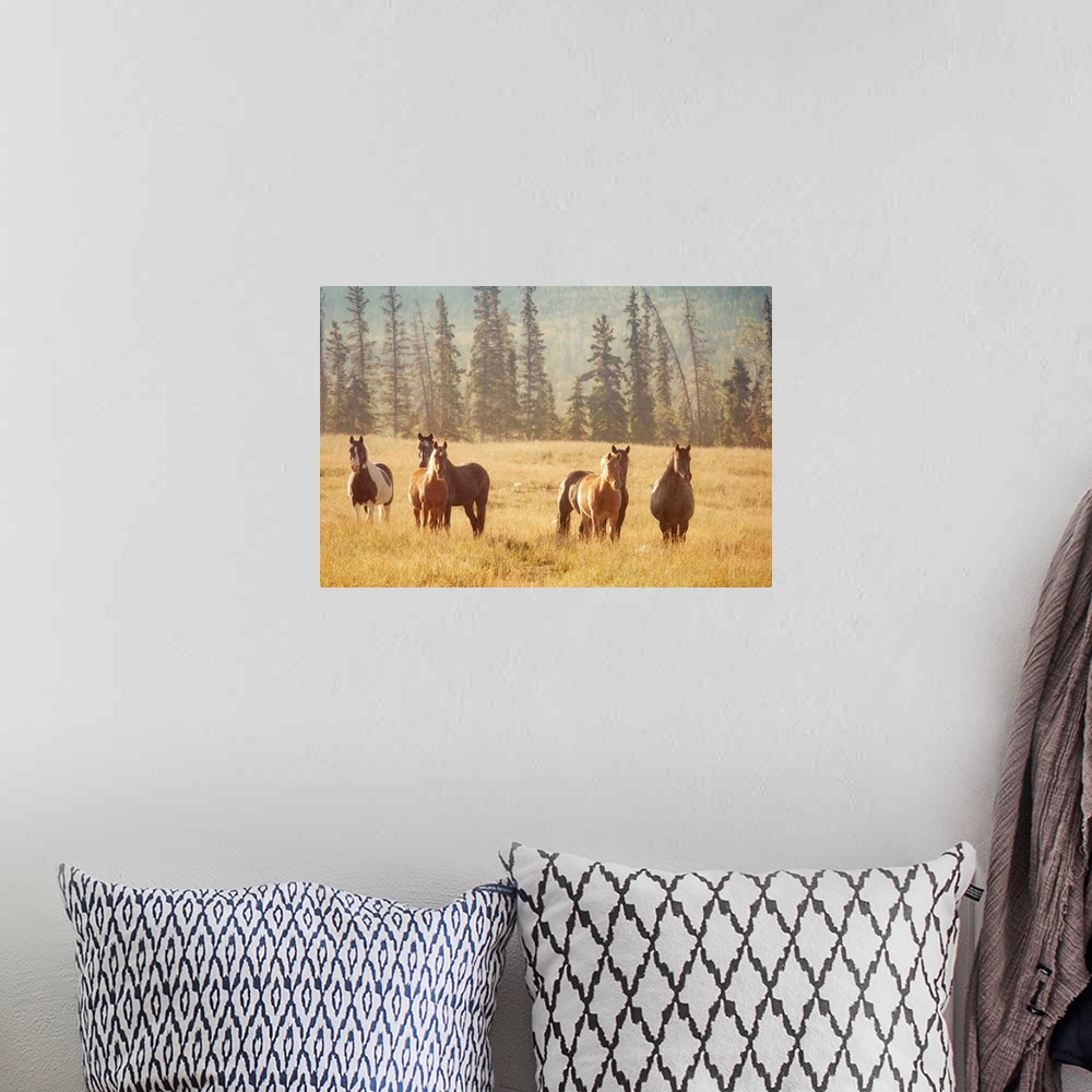 A bohemian room featuring Photo on canvas of a herd of horses in a field in the morning light.