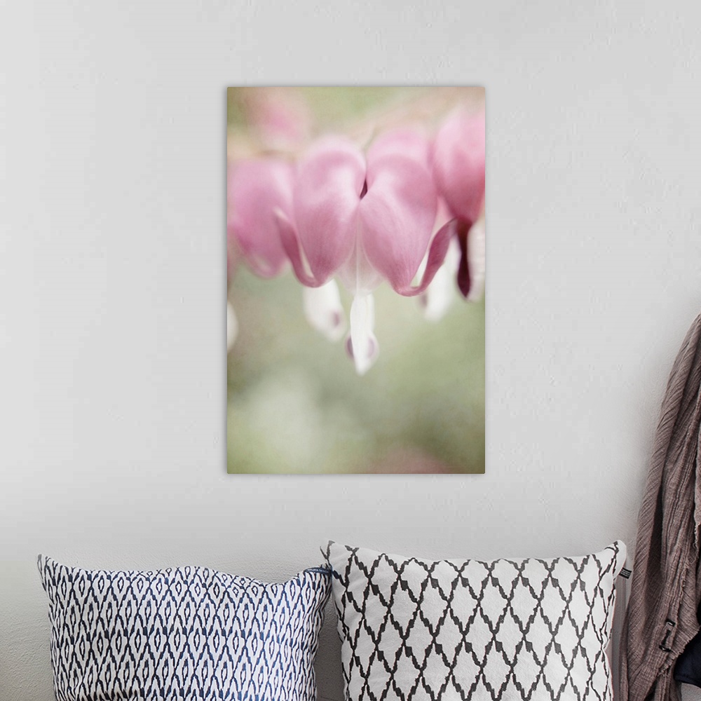 A bohemian room featuring A pretty pictorialism photograph of pink Bleeding Hearts flowers (Dicentra spectabilis) in a cott...