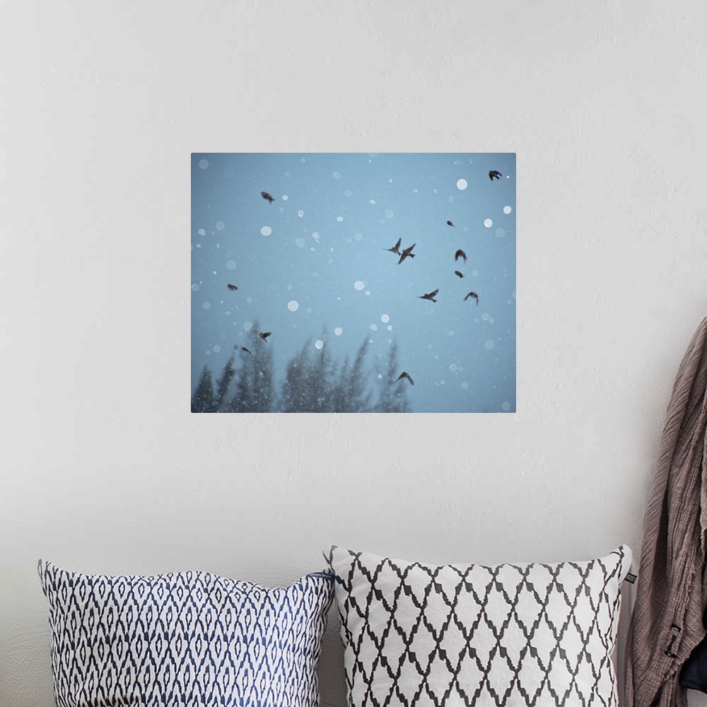 A bohemian room featuring A flock of birds flying in the sky among falling snow.