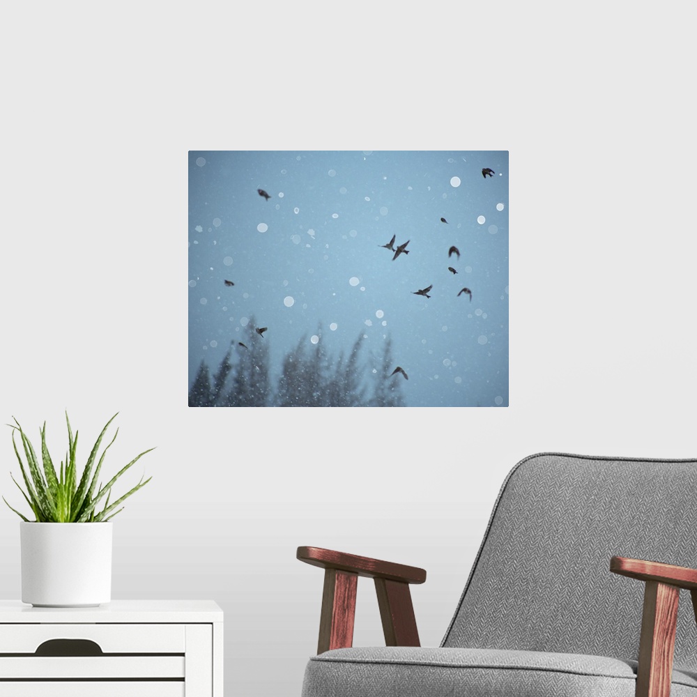 A modern room featuring A flock of birds flying in the sky among falling snow.