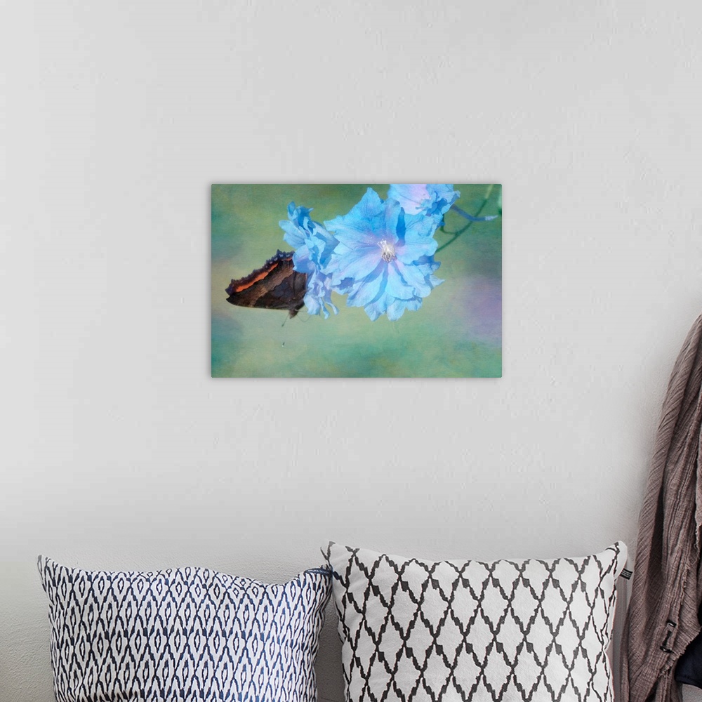 A bohemian room featuring A butterfly on delphinium blossoms in the garden.