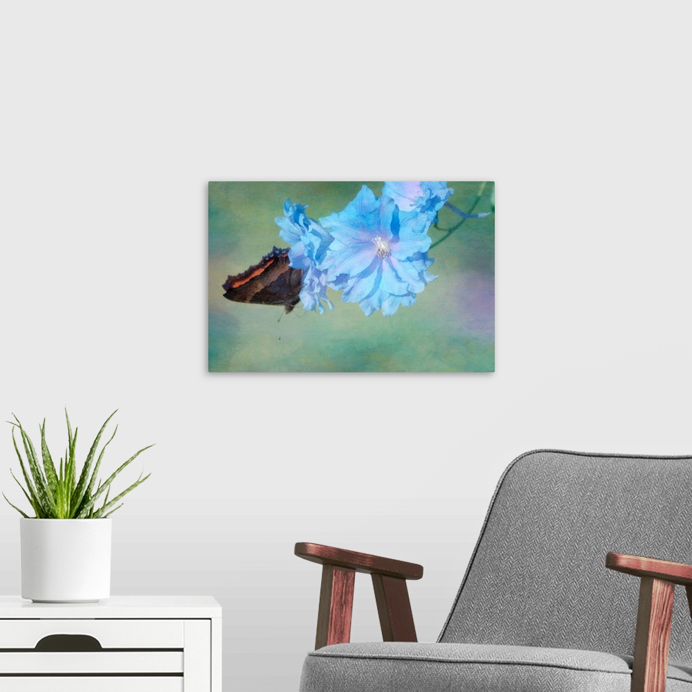 A modern room featuring A butterfly on delphinium blossoms in the garden.