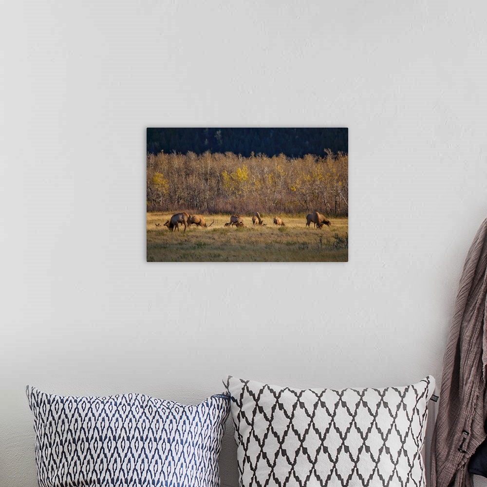 A bohemian room featuring A photograph of a herd of deer grazing in a grassy field.