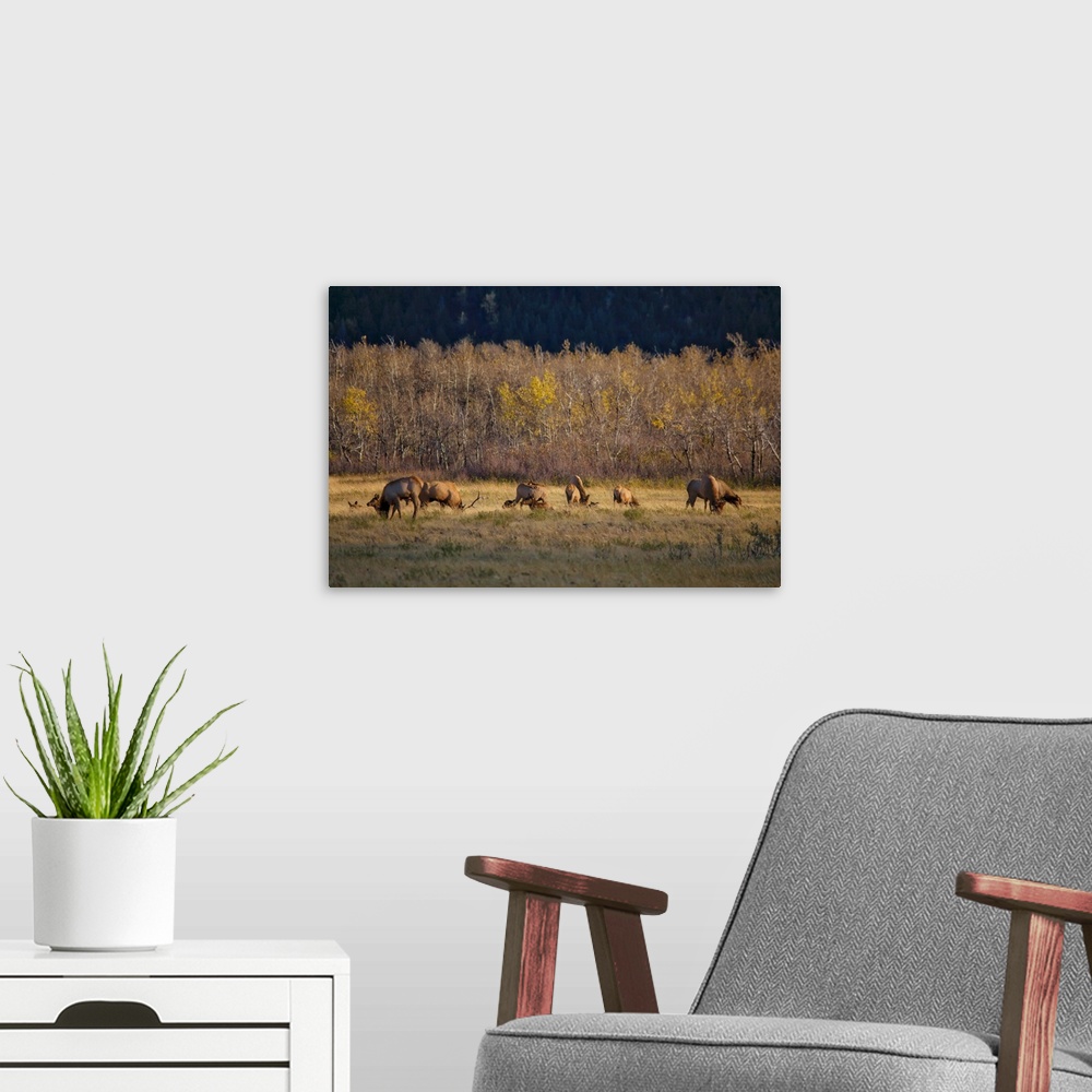 A modern room featuring A photograph of a herd of deer grazing in a grassy field.