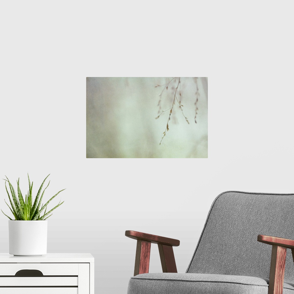 A modern room featuring The tiny seeds of wild grasses look like swaying branches of a tree.