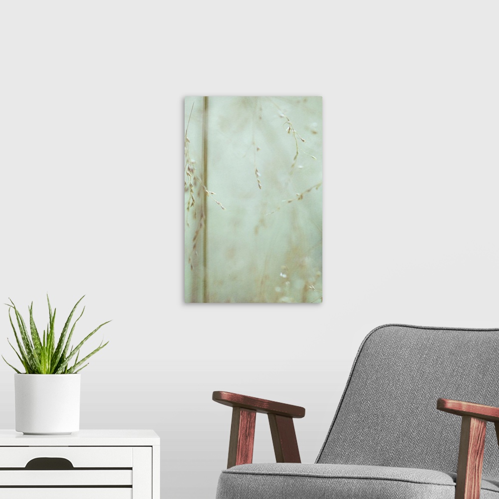 A modern room featuring A peaceful image of wild grass seeds.