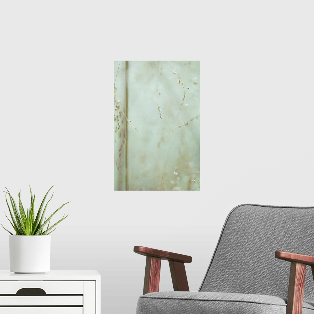 A modern room featuring A peaceful image of wild grass seeds.