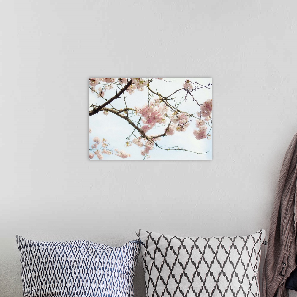 A bohemian room featuring Photograph of tree branches with bright soft pink flowers on them.