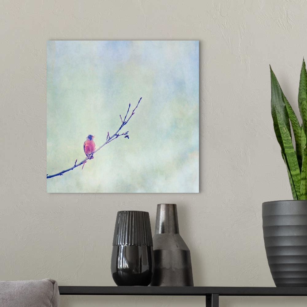 A modern room featuring Pictorial painterly photo of an American Robin bird on a tree branch.