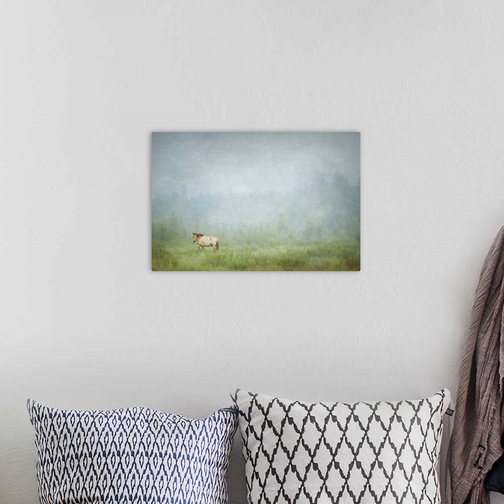 A bohemian room featuring Photograph of a lone horse standing in a field with an overall hazy look to it.