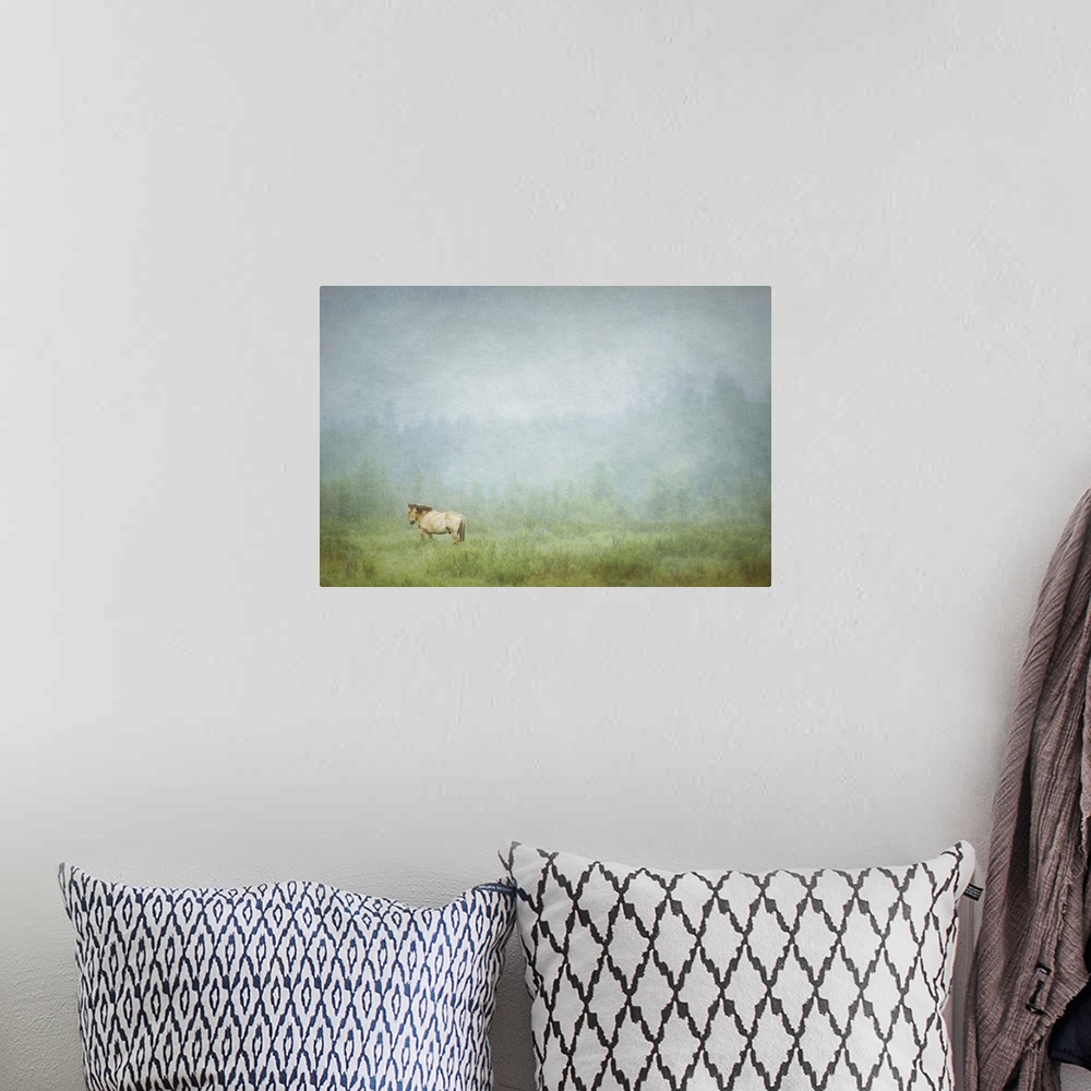 A bohemian room featuring Photograph of a lone horse standing in a field with an overall hazy look to it.