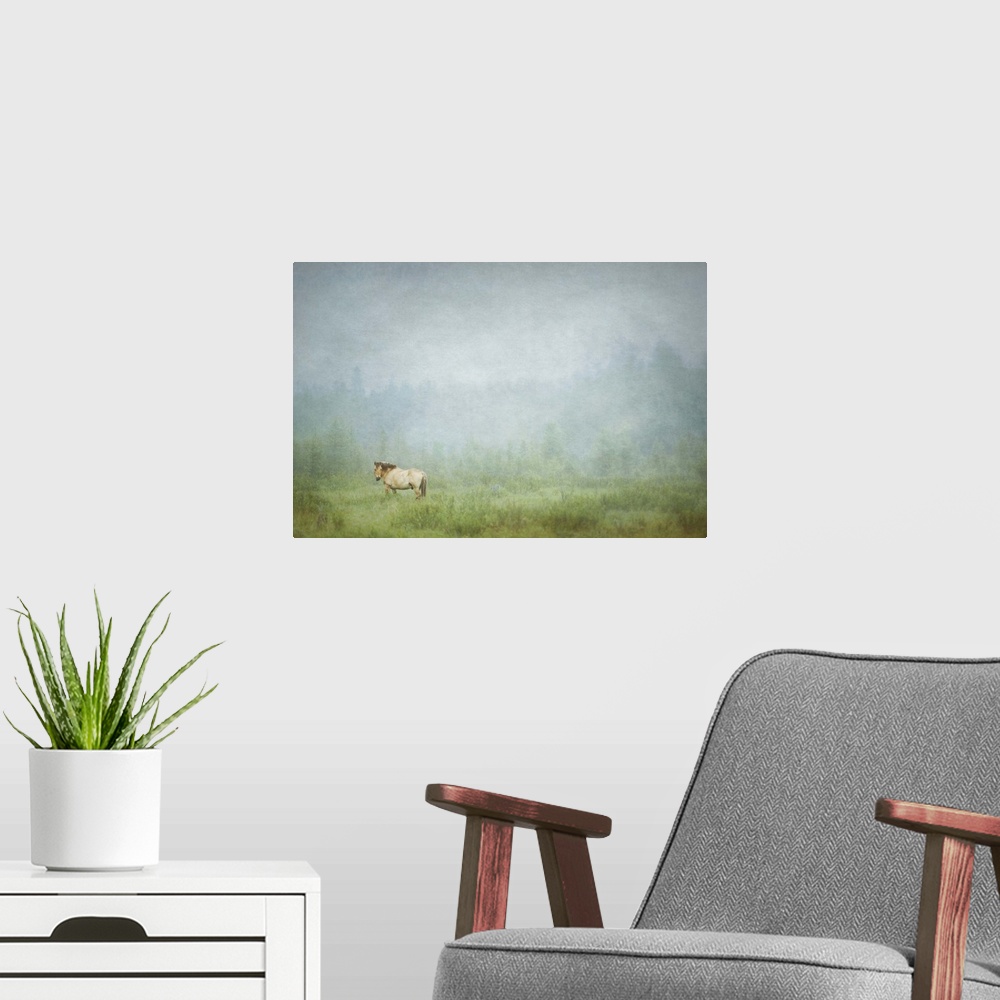 A modern room featuring Photograph of a lone horse standing in a field with an overall hazy look to it.