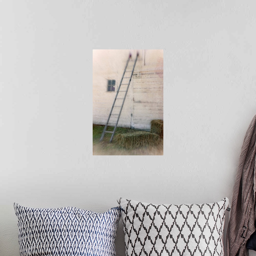 A bohemian room featuring Loft Ladder