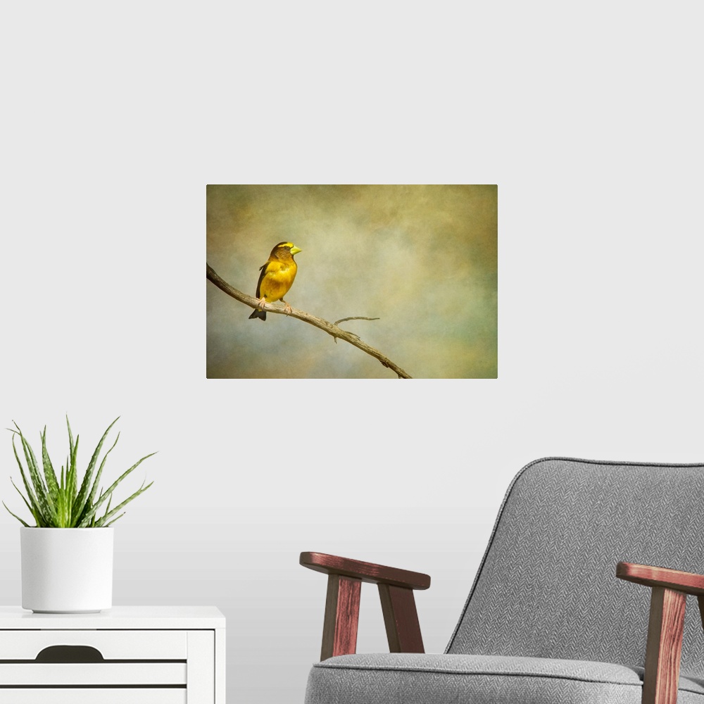 A modern room featuring A distressed photo of a yellow bird perched on a branch. with a nondescript background.
