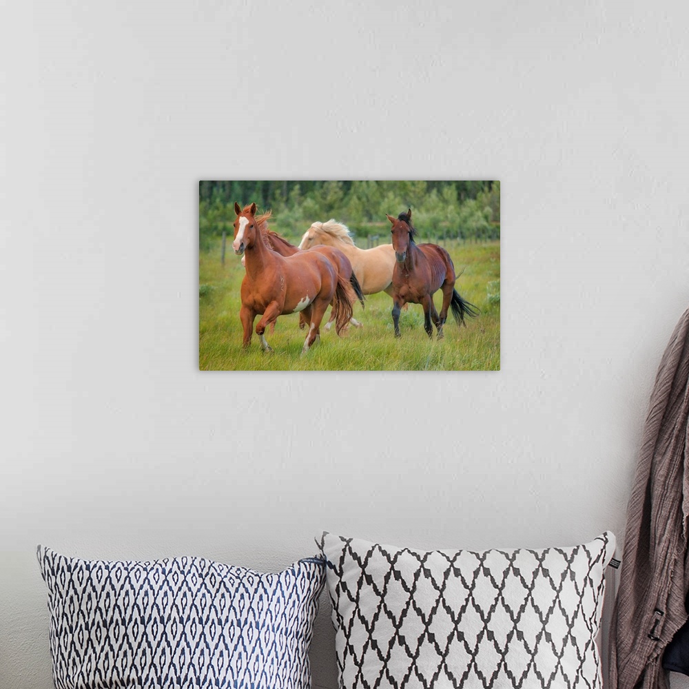A bohemian room featuring A photograph group of horses trotting along in a green grassy field.