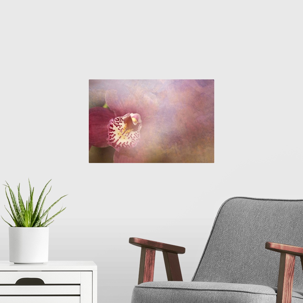 A modern room featuring Orchid Fog
