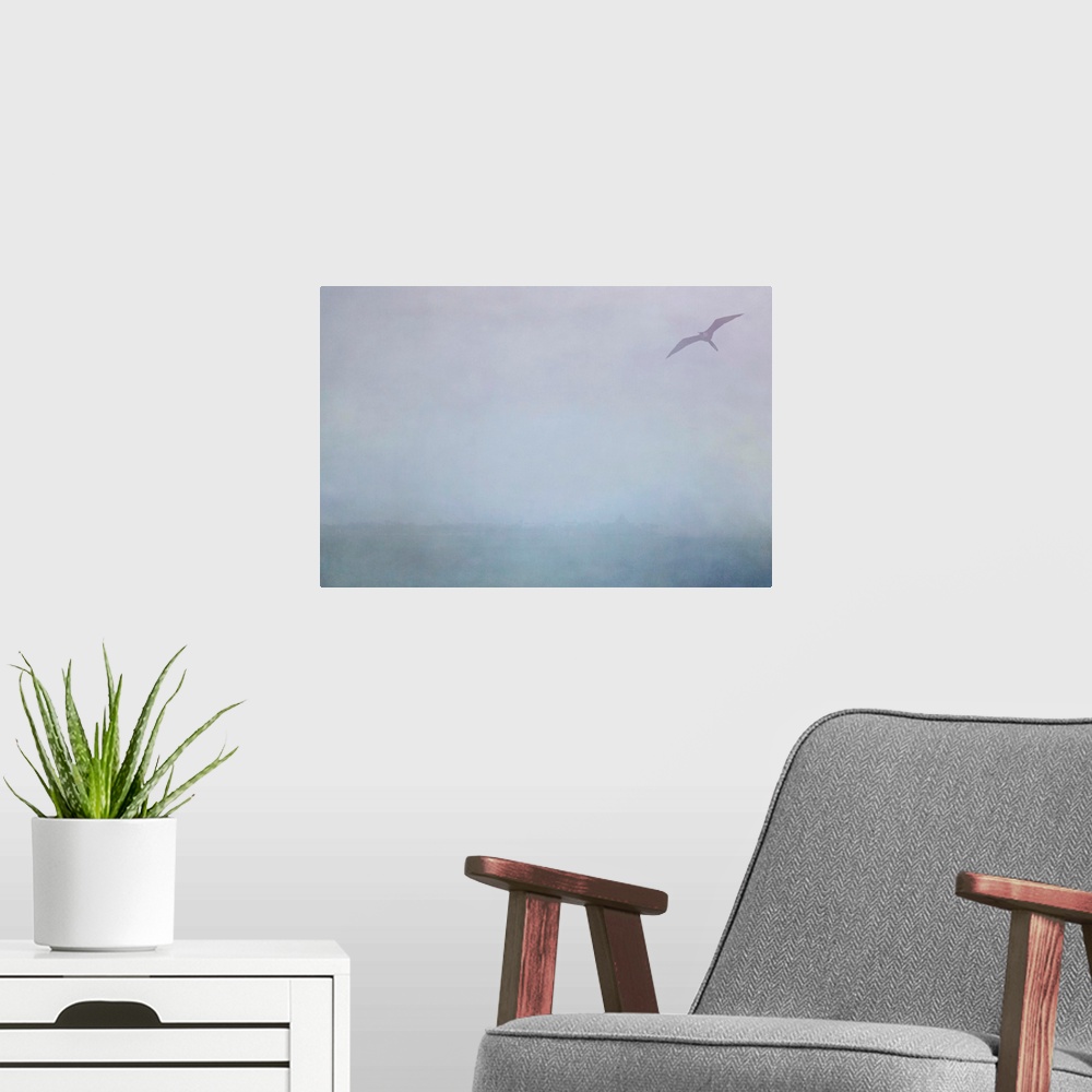 A modern room featuring Pictorialist photo of a Magnificent Frigatebird in the rain along the Gulf of Mexico.