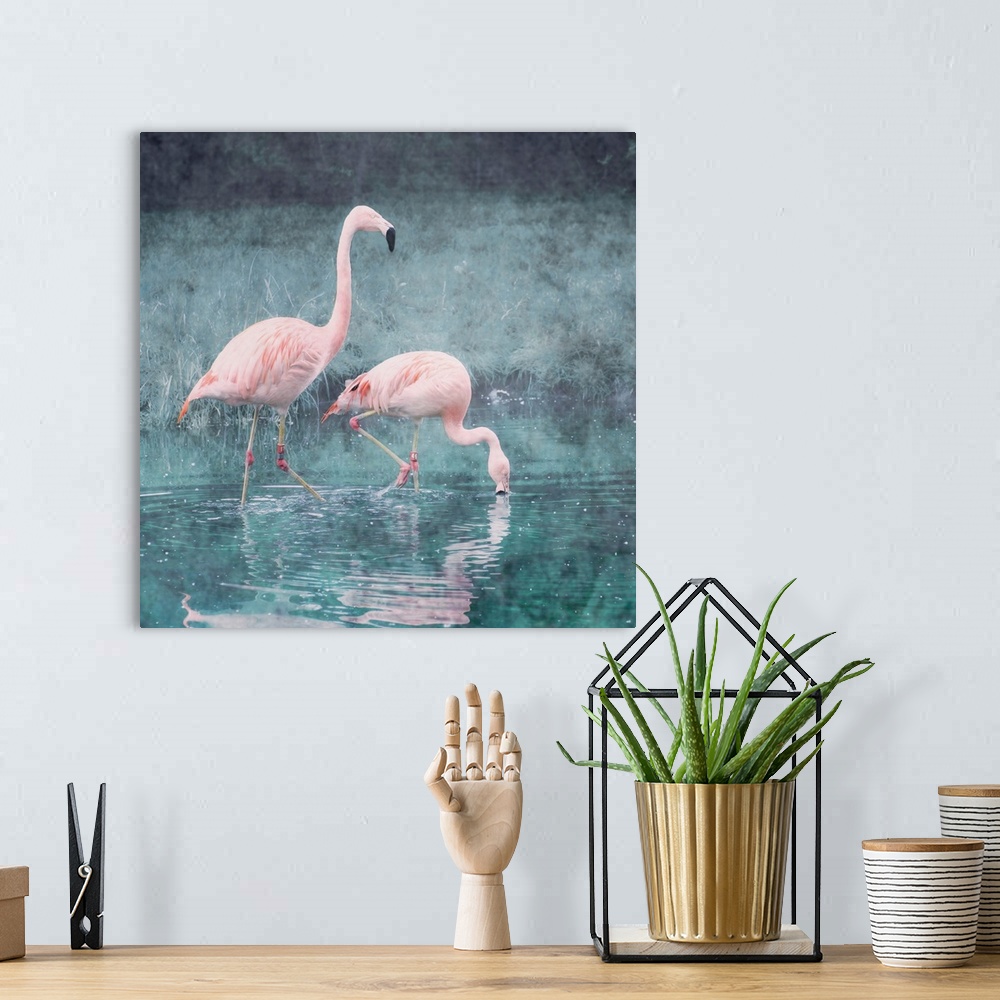A bohemian room featuring Pictorialist photo of two exotic pink flamingos wading in a shallow pond.