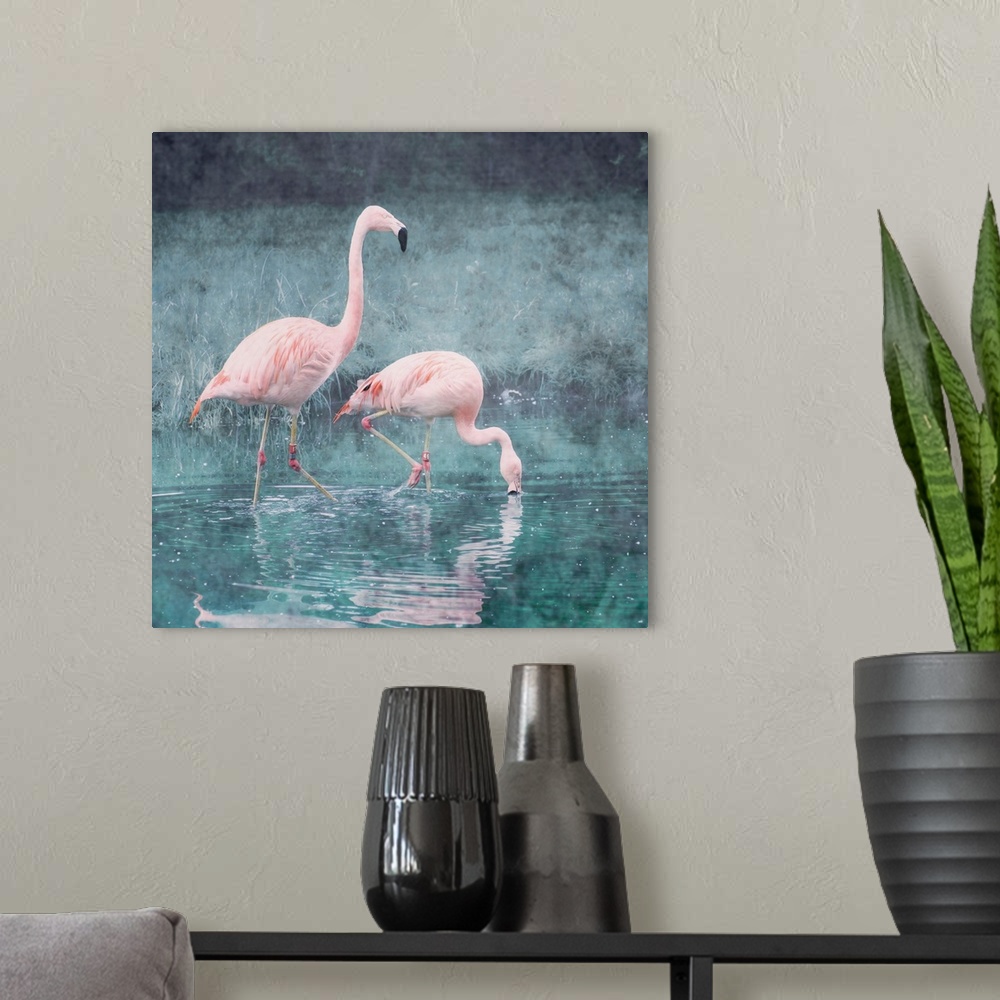 A modern room featuring Pictorialist photo of two exotic pink flamingos wading in a shallow pond.