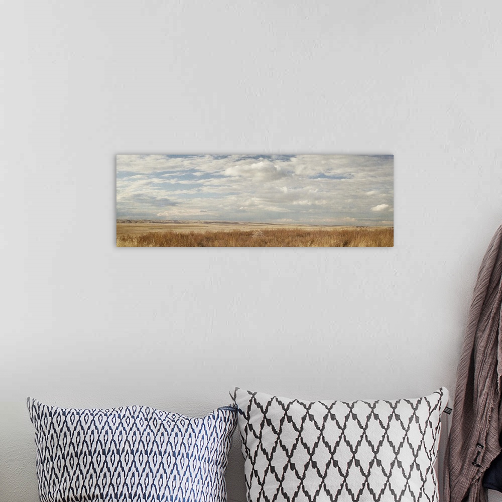 A bohemian room featuring Panoramic photograph of a flat plain with dry grass under a cloudy sky.