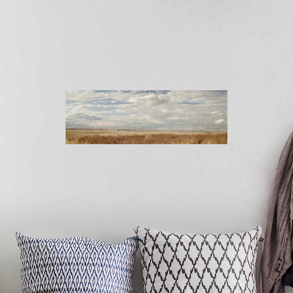 A bohemian room featuring Panoramic photograph of a flat plain with dry grass under a cloudy sky.