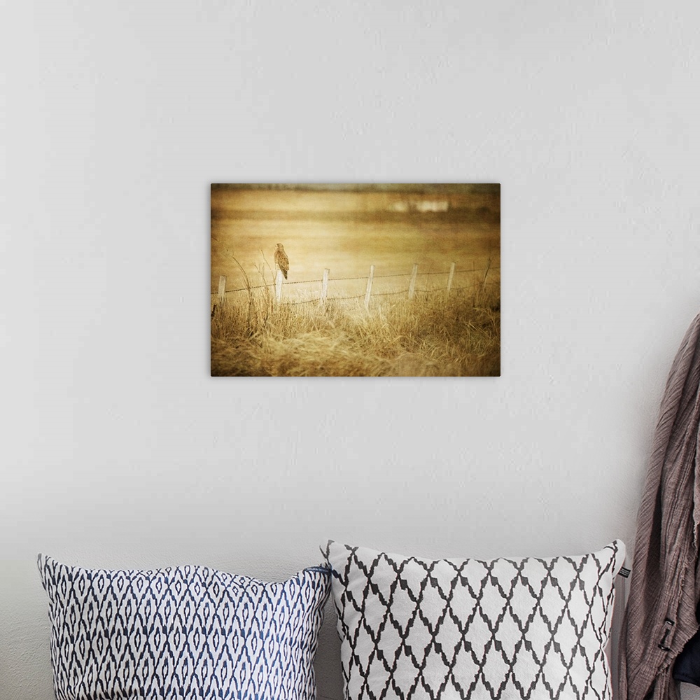 A bohemian room featuring Pictorialist photo of a large hawk on a fencepost on a prairie farm.